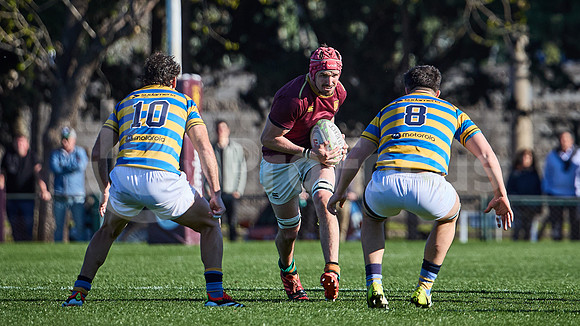 Fecha 19 - URBA Top 12 Copa Macro - Newman ante Hindú 40 a 7