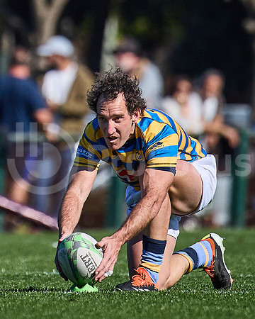 Fecha 19 - URBA Top 12 Copa Macro - Newman ante Hindú 40 a 7