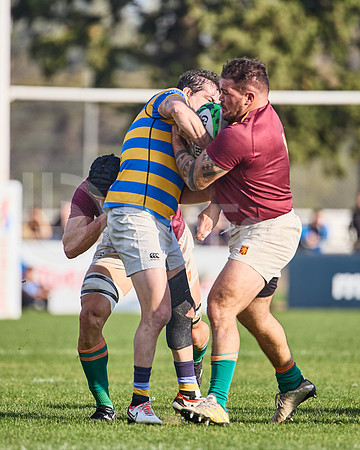 URBA Top 12 Copa Macro: Hindú vs Newman 22 a 40
