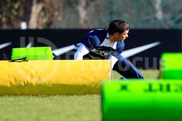 Entrenamiento / Training Pumas