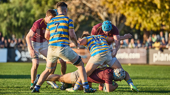 URBA Top 12 Copa Macro: Hindú vs Newman 22 a 40