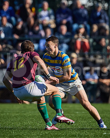 Fecha 19 - URBA Top 12 Copa Macro - Newman ante Hindú 40 a 7
