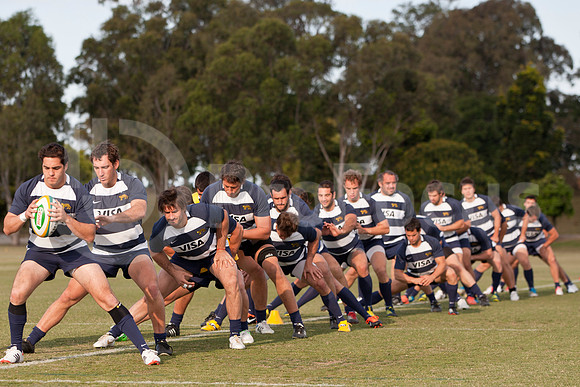 Entrenamiento / Training Pumas