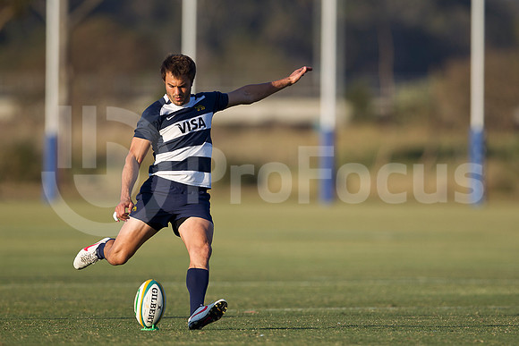 Entrenamiento / Training Pumas