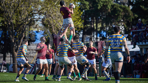 Fecha 19 - URBA Top 12 Copa Macro - Newman ante Hindú 40 a 7