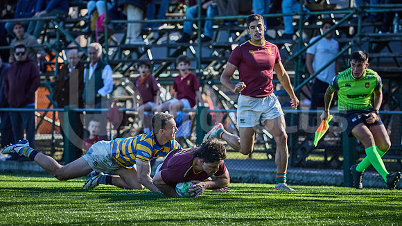 Fecha 19 - URBA Top 12 Copa Macro - Newman ante Hindú 40 a 7
