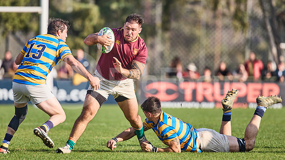 URBA Top 12 Copa Macro: Hindú vs Newman 22 a 40