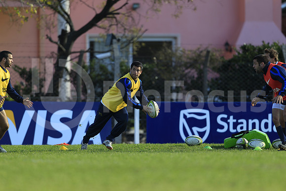 Entrenamiento / Training Pumas