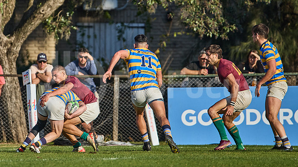 URBA Top 12 Copa Macro: Hindú vs Newman 22 a 40