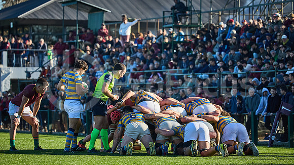 Fecha 19 - URBA Top 12 Copa Macro - Newman ante Hindú 40 a 7