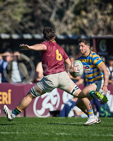 Fecha 19 - URBA Top 12 Copa Macro - Newman ante Hindú 40 a 7