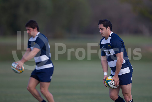 Entrenamiento / Training Pumas