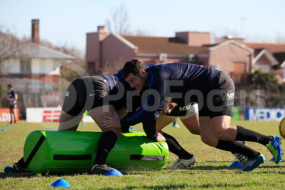 Entrenamiento / Training Pumas