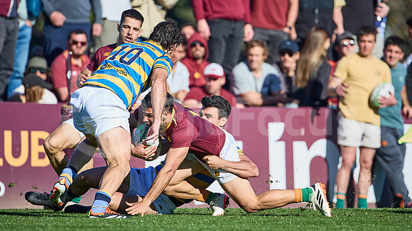 Fecha 19 - URBA Top 12 Copa Macro - Newman ante Hindú 40 a 7