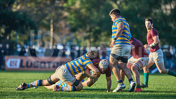 URBA Top 12 Copa Macro: Hindú vs Newman 22 a 40