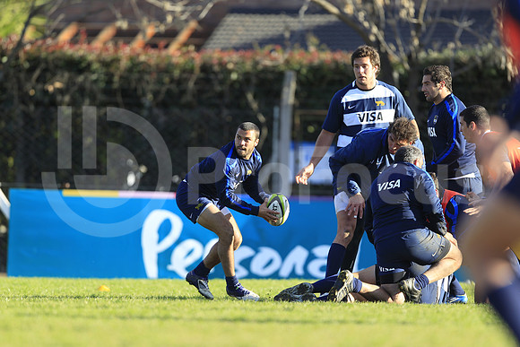 Entrenamiento / Training Pumas