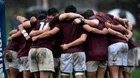 M 17 SIC 8 vs NEWMAN 17