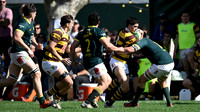 BELGRANO 31 vs LOS TILOS 32