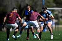 M 19 CUBA 23 vs NEWMAN 14