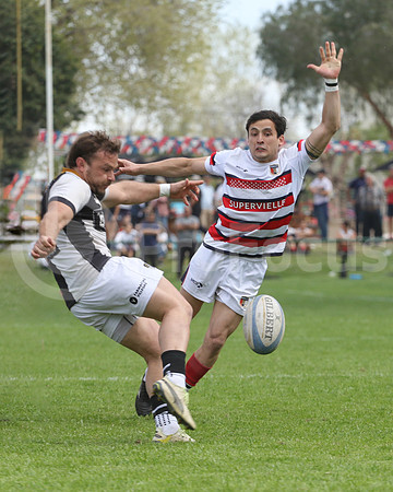 Rugby tdi a semifinal maristas vs estudiantes de Paraná