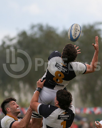 Rugby tdi a semifinal maristas vs estudiantes de Paraná