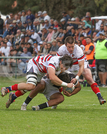 Rugby tdi a semifinal maristas vs estudiantes de Paraná