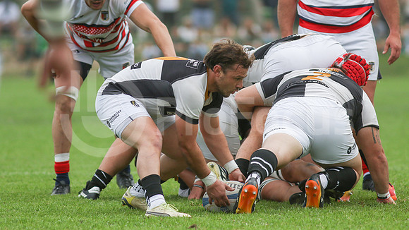 Rugby tdi a semifinal maristas vs estudiantes de Paraná