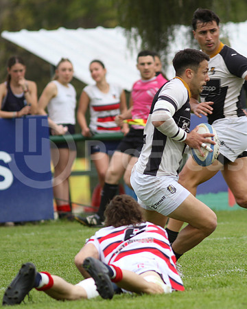 Rugby tdi a semifinal maristas vs estudiantes de Paraná