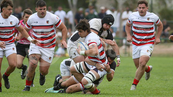 Rugby tdi a semifinal maristas vs estudiantes de Paraná