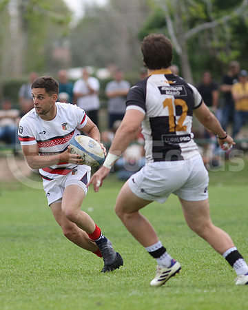 Rugby tdi a semifinal maristas vs estudiantes de Paraná