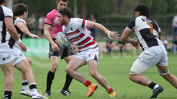 Rugby tdi a semifinal maristas vs estudiantes de Paraná