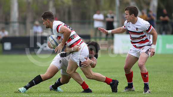 Rugby tdi a semifinal maristas vs estudiantes de Paraná
