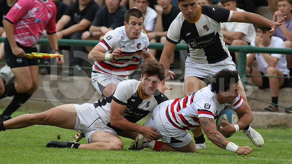 Rugby tdi a semifinal maristas vs estudiantes de Paraná