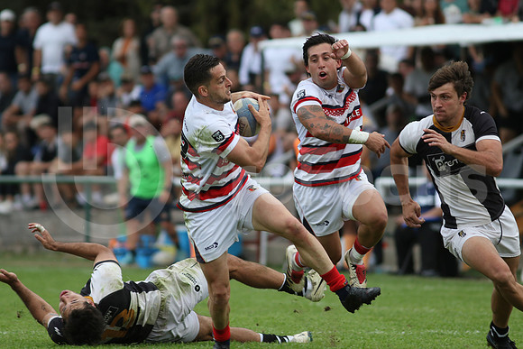 Rugby tdi a semifinal maristas vs estudiantes de Paraná