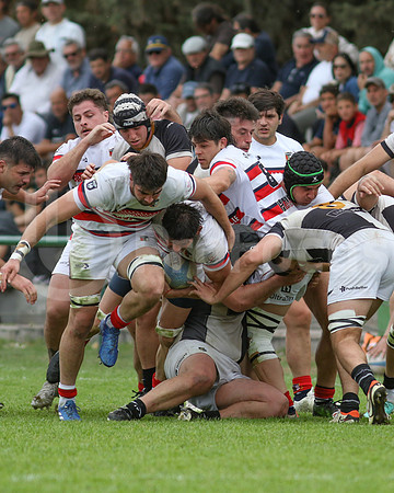 Rugby tdi a semifinal maristas vs estudiantes de Paraná