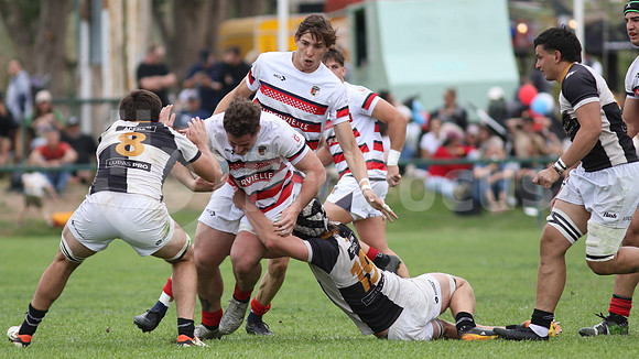 Rugby tdi a semifinal maristas vs estudiantes de Paraná