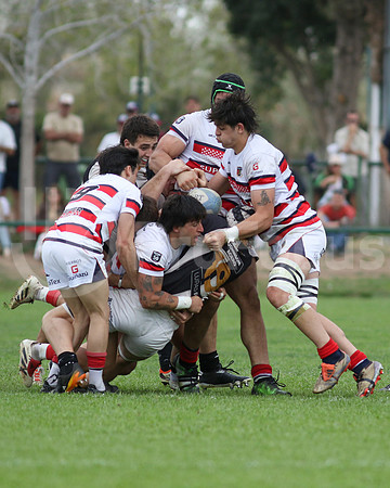 Rugby tdi a semifinal maristas vs estudiantes de Paraná