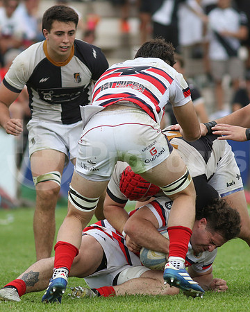 Rugby tdi a semifinal maristas vs estudiantes de Paraná