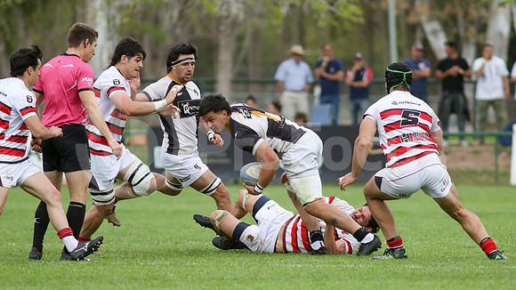 Rugby tdi a semifinal maristas vs estudiantes de Paraná