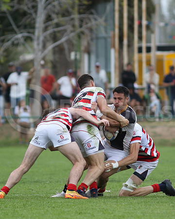 Rugby tdi a semifinal maristas vs estudiantes de Paraná
