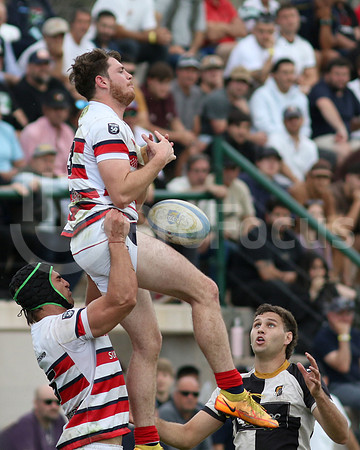 Rugby tdi a semifinal maristas vs estudiantes de Paraná