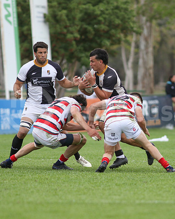 Rugby tdi a semifinal maristas vs estudiantes de Paraná