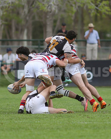 Rugby tdi a semifinal maristas vs estudiantes de Paraná