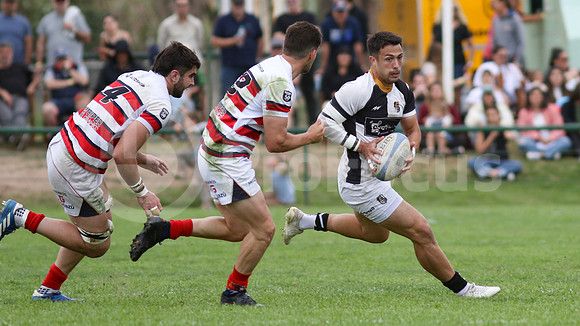 Rugby tdi a semifinal maristas vs estudiantes de Paraná