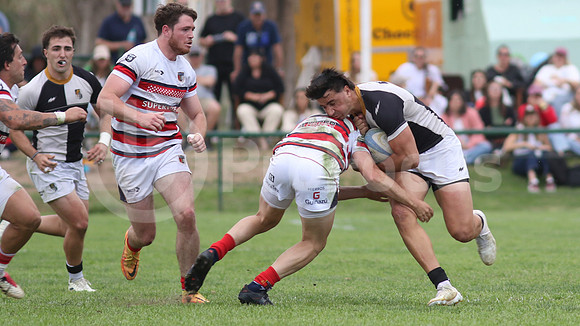 Rugby tdi a semifinal maristas vs estudiantes de Paraná