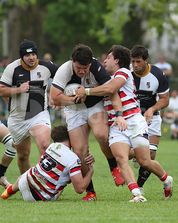 Rugby tdi a semifinal maristas vs estudiantes de Paraná