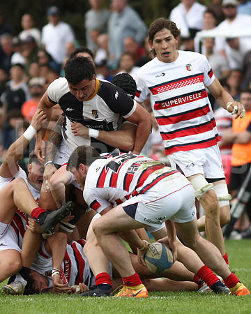 Rugby tdi a semifinal maristas vs estudiantes de Paraná