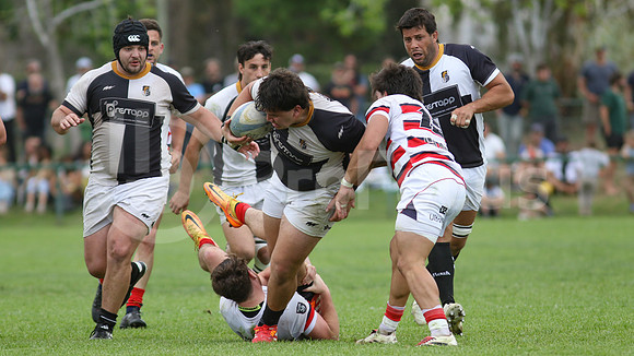 Rugby tdi a semifinal maristas vs estudiantes de Paraná
