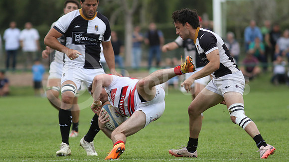Rugby tdi a semifinal maristas vs estudiantes de Paraná