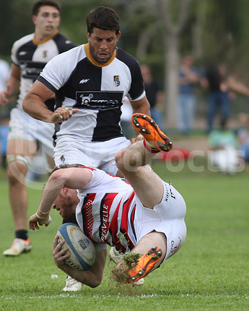Rugby tdi a semifinal maristas vs estudiantes de Paraná